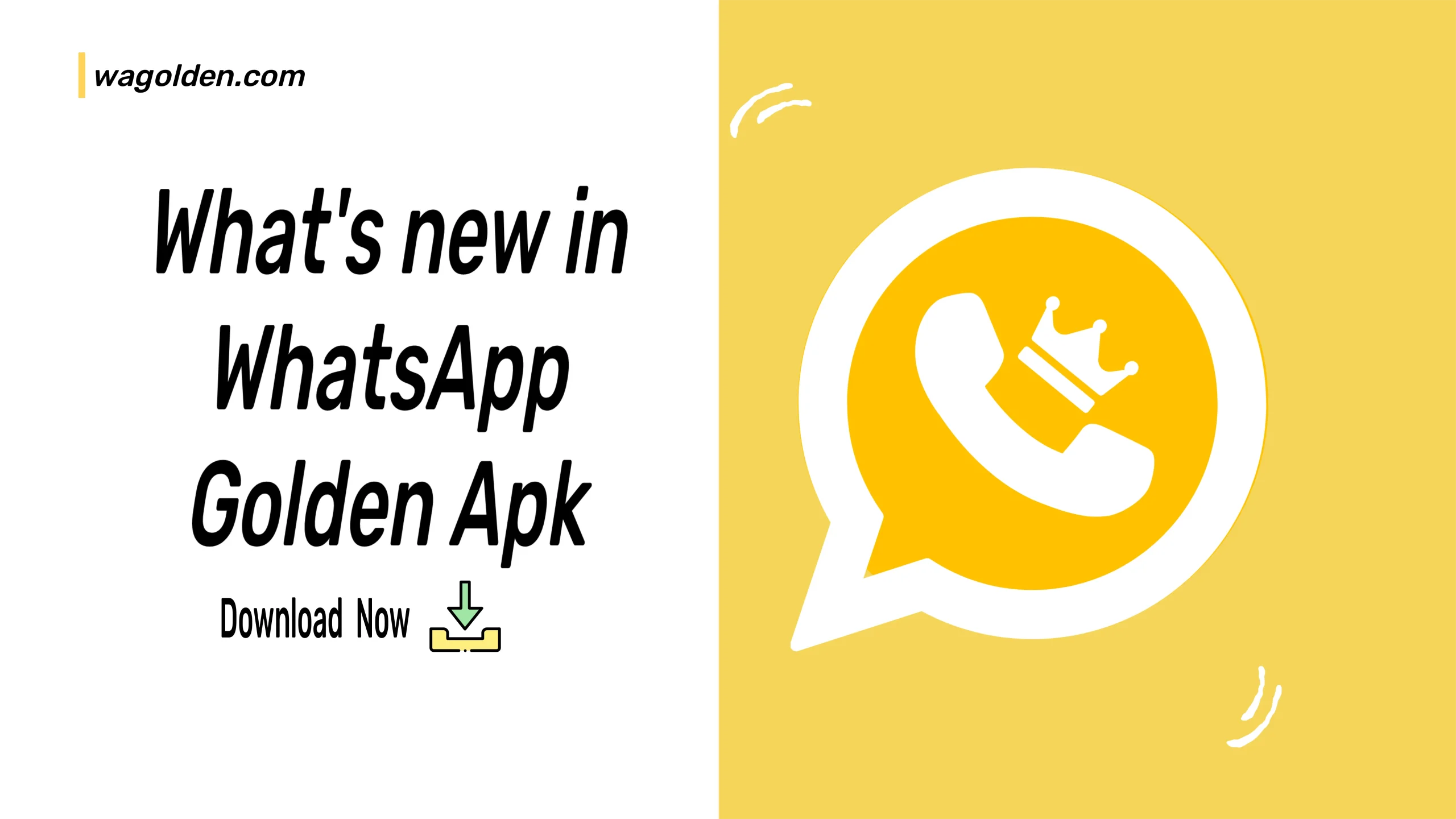 what's new in golden Whatsapp - whatsapp gold