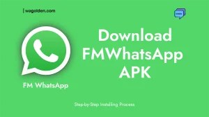 FM WhatsApp APK download latest version