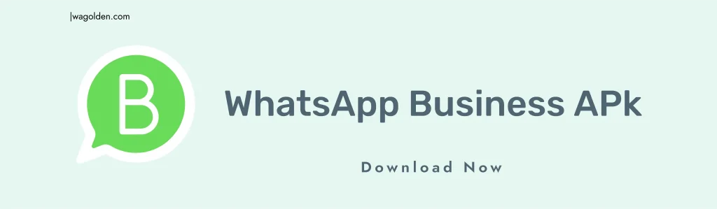 WhatsApp business APK